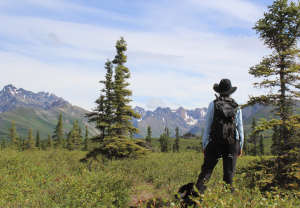 hike, alaska, wilderness, cowboy, bush, alaskan, adventure, hike
