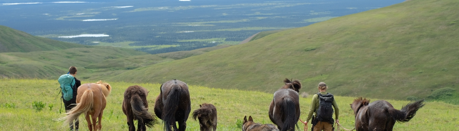 6591CF35-55CD-4D8E-8D05-EEAAD32CD62D-15495-0000069776581B39 3